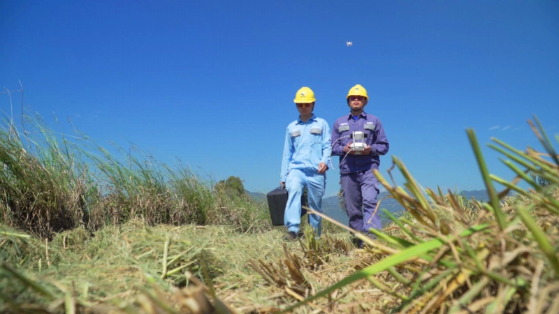 江门台山供电局：好电护航，助力“广东第一田”颗粒归仓