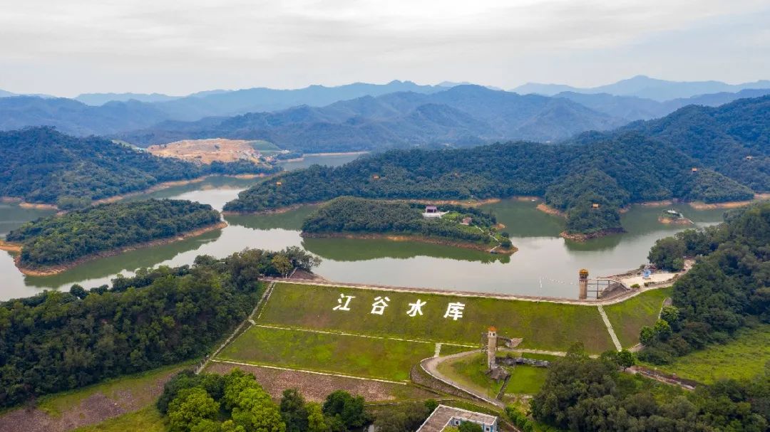 事关农村居民生活！肇庆全面推进这个攻坚行动……